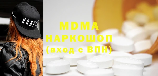 шишки Няндома
