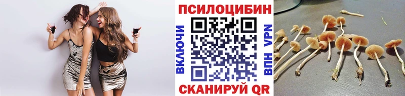 как найти закладки  Шарья  Галлюциногенные грибы Psilocybe 