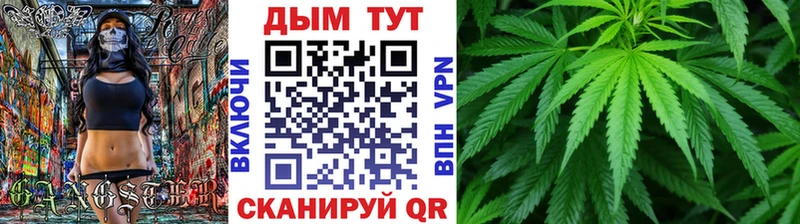 как найти наркотики  Шарья  Канабис ГИДРОПОН 